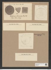 Stictodiscus johnsonianus Grev. (de-Toni-Nr.: Genus 205, Species 5221) Zeichnungen Sammlung Grunow Nr. 9011 (NHMW-BOT-W0378719)